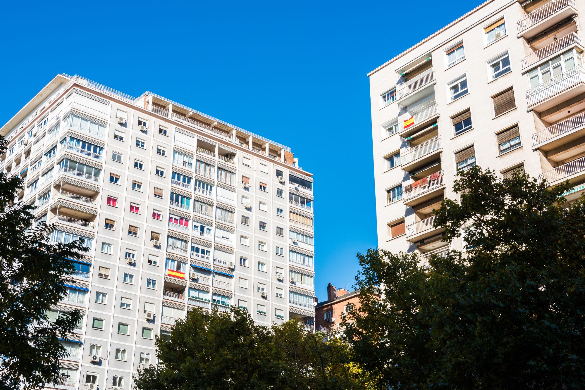 Gestión del Alquiler. Estrella Demo Luz en Ibiza